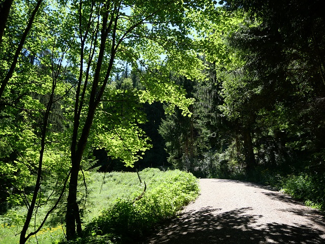 Wanderweg in der Adelegg