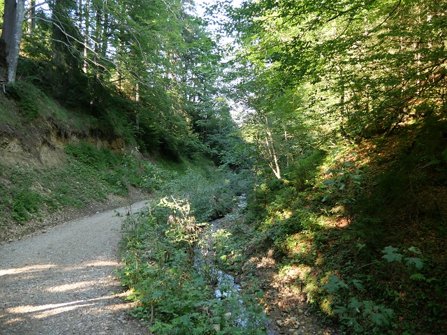Wanderweg am Rotenbach in der Adelegg