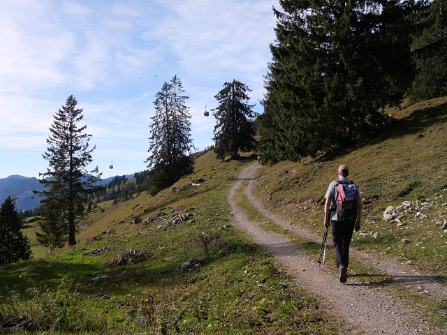 Wanderweg an der Hofhütte Seealpe