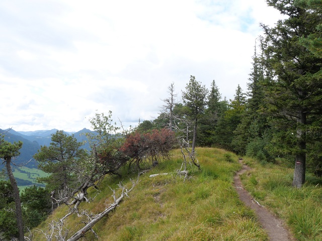 Wanderweg auf dem Zirmgrat