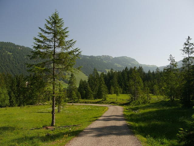 Wanderweg bei Balderschwang