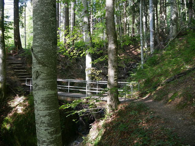 Wanderweg bei Ratholz im Tal der Konstanzer Ach