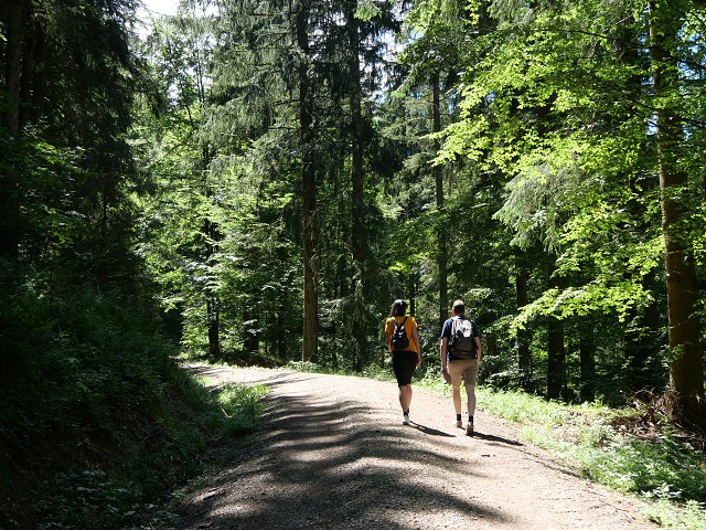 auf der Wanderung zum Schwarzen Grat in der Adelegg