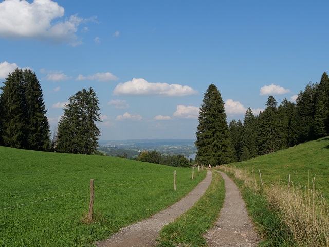 Wanderweg nach Gopprechts bei Niedersonthofen
