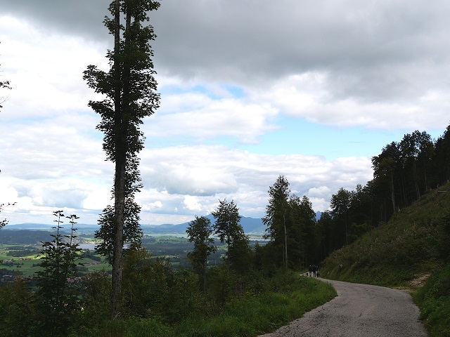 Wanderweg vom Falkenstein nach Roßmoos