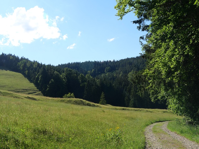 Wanderweg von der Alpe Wenger Egg zum Parkplatz Batschen