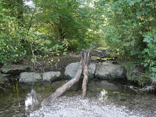 Natürlicher Wasserspielplatz im Waldbach bei Görisried