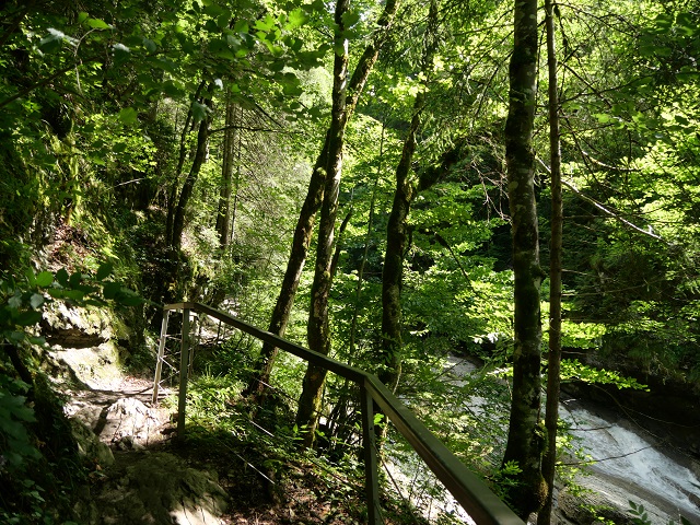Weg durch die Starzlachklamm