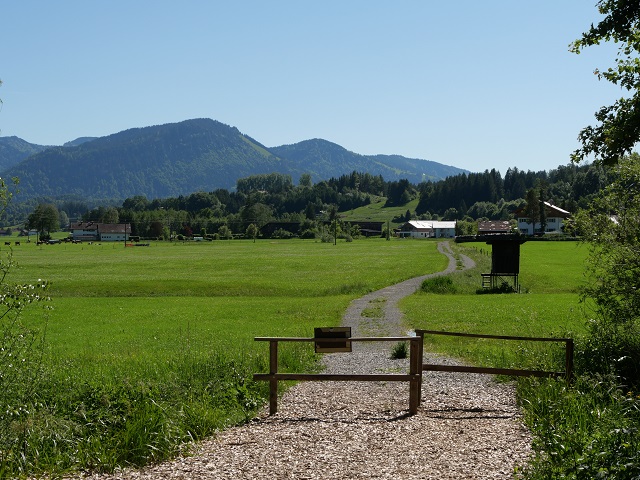 Weg vom Werdensteiner Moos nach Werdenstein