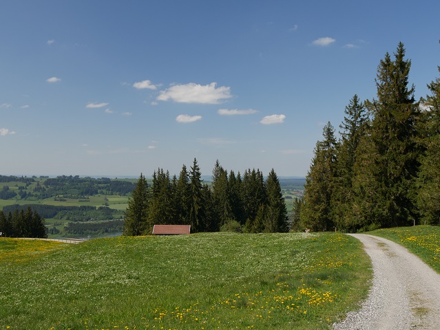 Weg von der Alpe Blösse zum Rundweg Reuterwanne