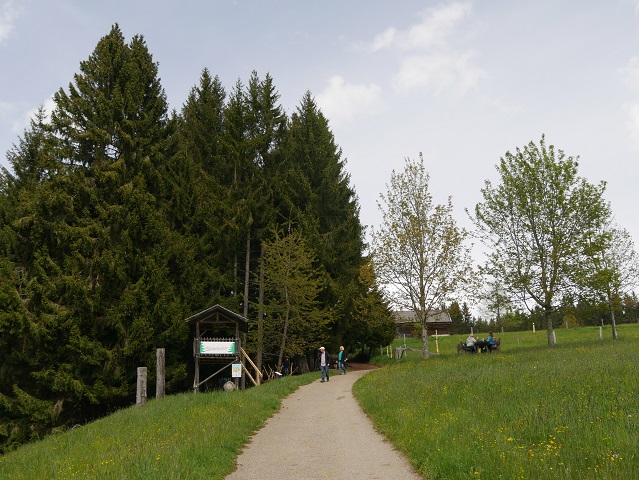 auf dem Weg zum Waldspielplatz