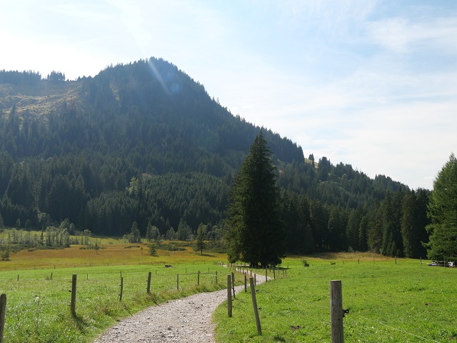 Weg von der Strausbergalpe