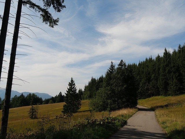 Wegstück zwischen Strausbergalpe und Strausberghütte