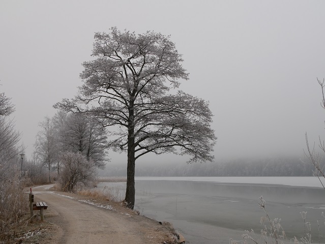 Der Weissensee - auch im Winter einer der schönsten Seen im Allgäu