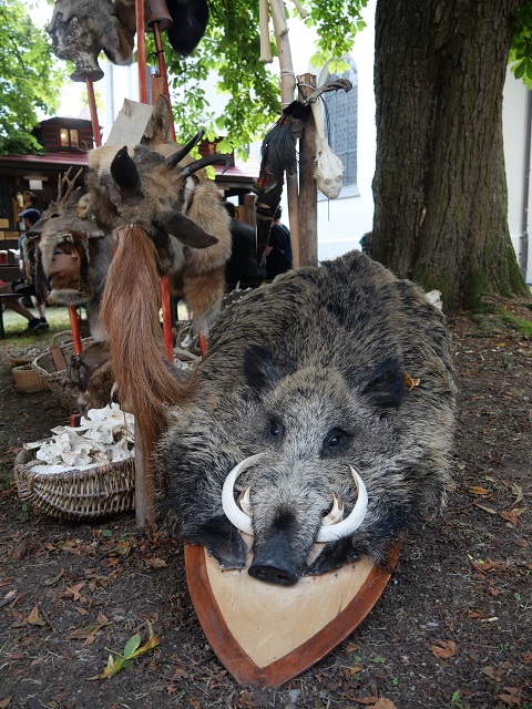 Wildschwein-Schild auf dem Historischen Markt in Memmingen