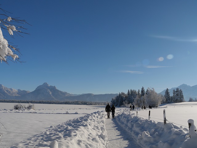 Winterwandern im Allgäu am Hopfensee