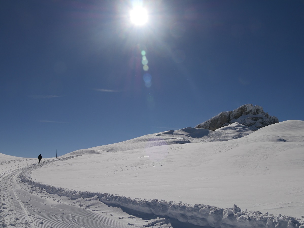 Winterwandern im Allgäu - auf dem Hohen Ifen