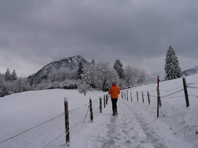 Winterwandern im Allgäu - unterwegs im Trettachtal