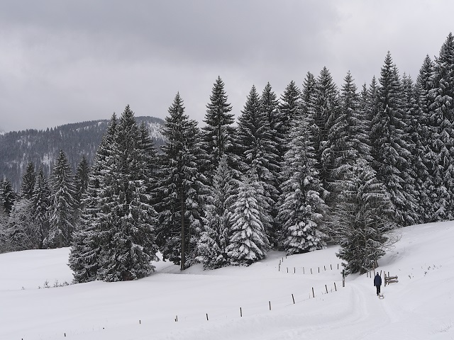 Winterwandern auf dem Edelsberg