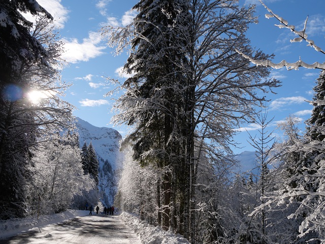 Winterwunderland im Tannheimer Tal