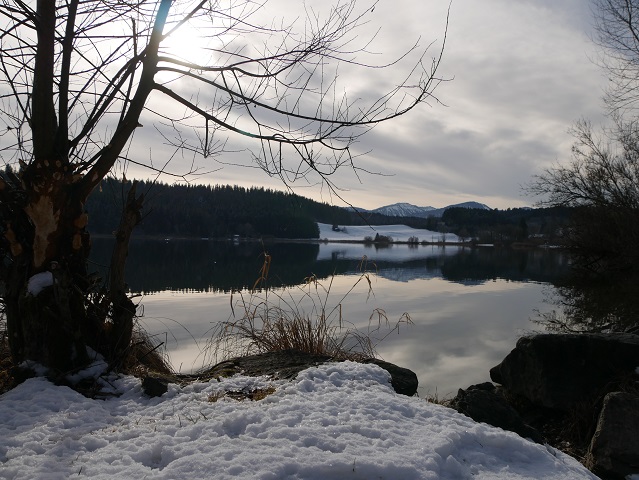 Am Niedersonthofener See im Winter