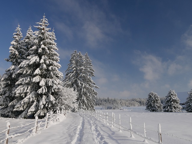 an der Seealpe am Elbsee im Winter