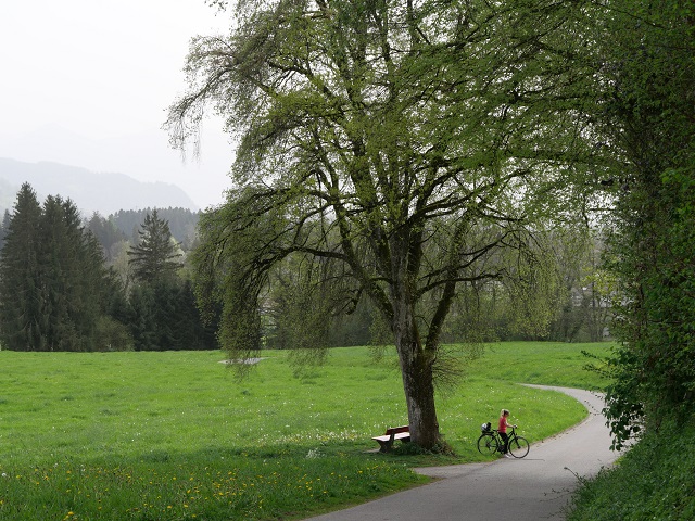 auf dem Bodensee-Königssee-Radweg an der Leiblach