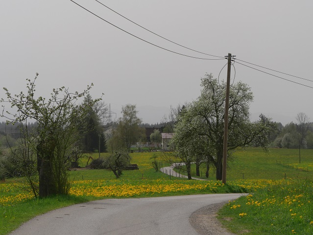 auf dem Bodensee-Königssee-Radweg bei Hergatz