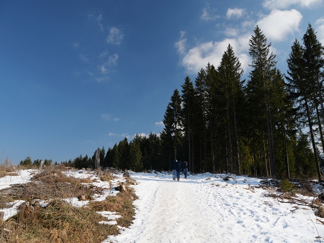 auf dem Buchenberg-Rundweg
