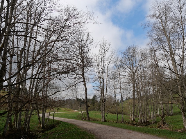 auf dem Carl-Hirnbein-Weg bei Weitnau