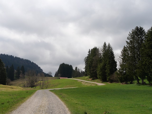 auf dem Carl-Hirnbein-Weg zwischen Weitnau und Wilhams