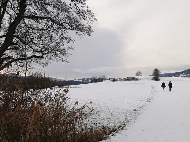 auf dem Niso-Rundwanderweg westwärts