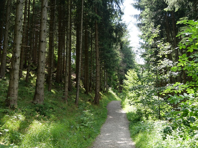 auf dem Nothaldeweg am Grünten