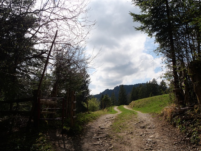 auf dem Rückweg von Missen nach Weitnau