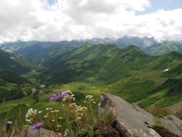 Blick vom Steinmandl aufs Schwarzwassertal