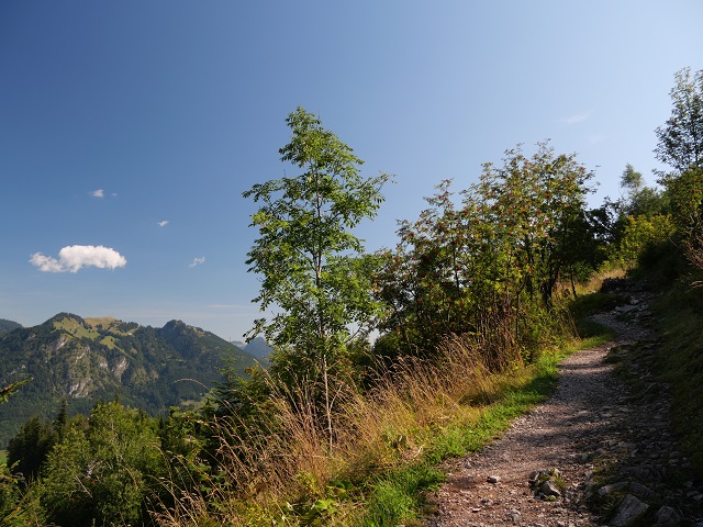 auf dem Weg aufs Imberger Horn