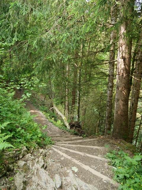 auf dem Weg von Einödsbach zur Petersalpe