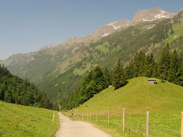 auf dem Weg von Peters Älpele zur Alpe Breitengehren