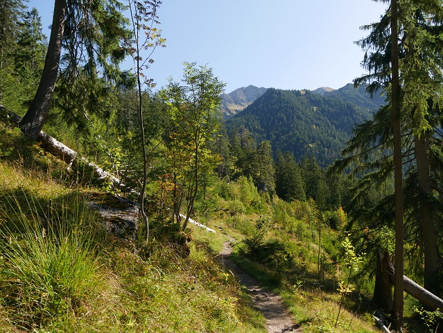 auf dem Weg zum Wildfräuleinstein im Hintersteiner Tal