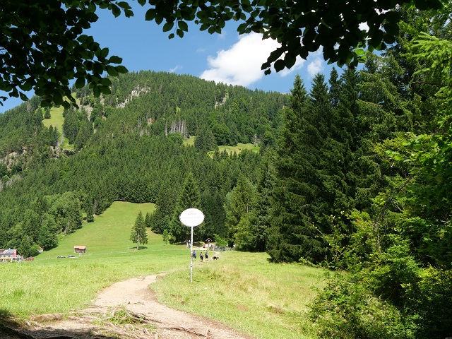 auf dem Weg zur Alpe Topfen am Grünten