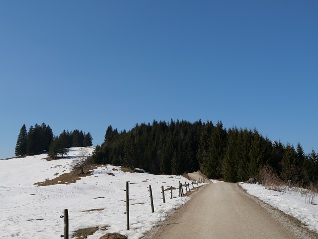 auf dem Wanderweg zur Buchenbergalm