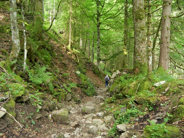 auf dem Weg zur Petersalpe