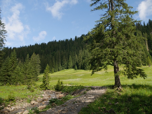 auf dem Weg zur Schwarzwasserhütte