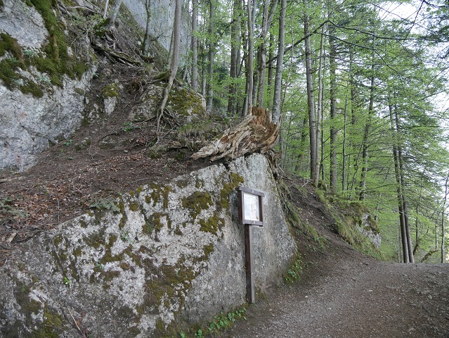 ehemaliger Steinbruch am Weißensee-Südufer