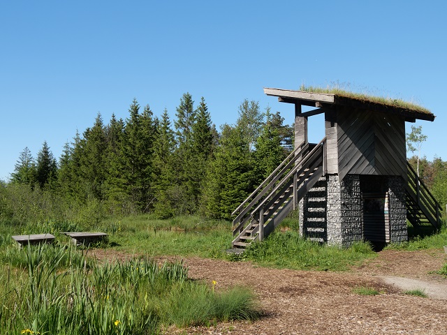 großer Aussichtsturm im Werdensteiner Moos