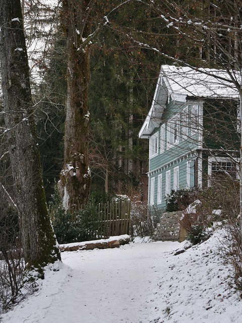 grünes Haus am Niso