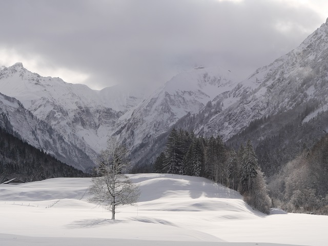 im Trettachtal bei Oberstdorf im Winter