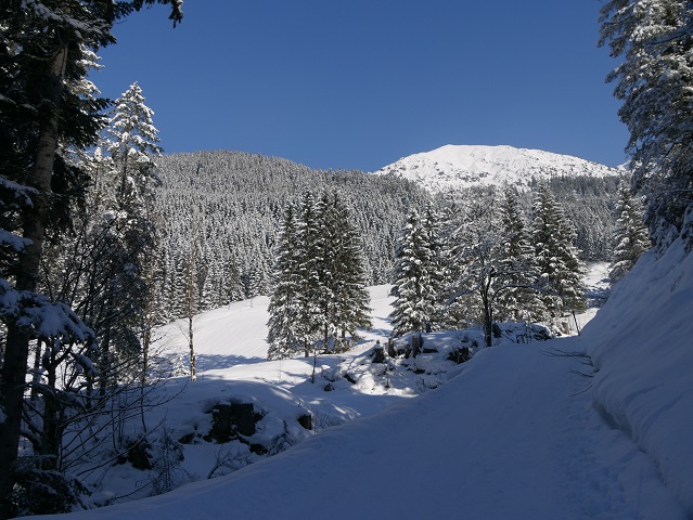 Winterwanderung im Kleinwalsertal mit Blick auf die Walser Hammerspitze