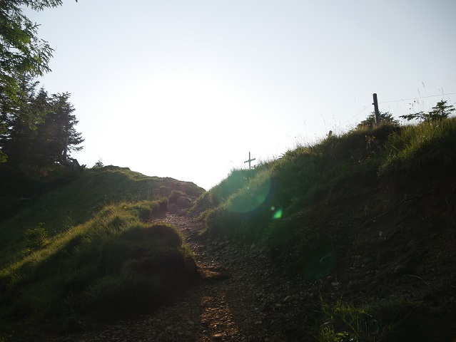 kurz vor dem Seelekopf-Gipfel