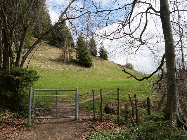 letzte Steigung vor Missen auf dem Carl-Hirnbein-Weg